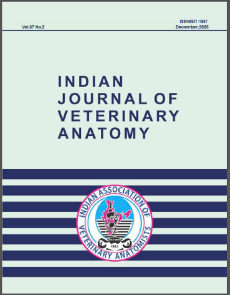 					View Vol. 37 No. 2 (2025): Indian Journal of Veterinary Anatomy 37(02), December 2025
				