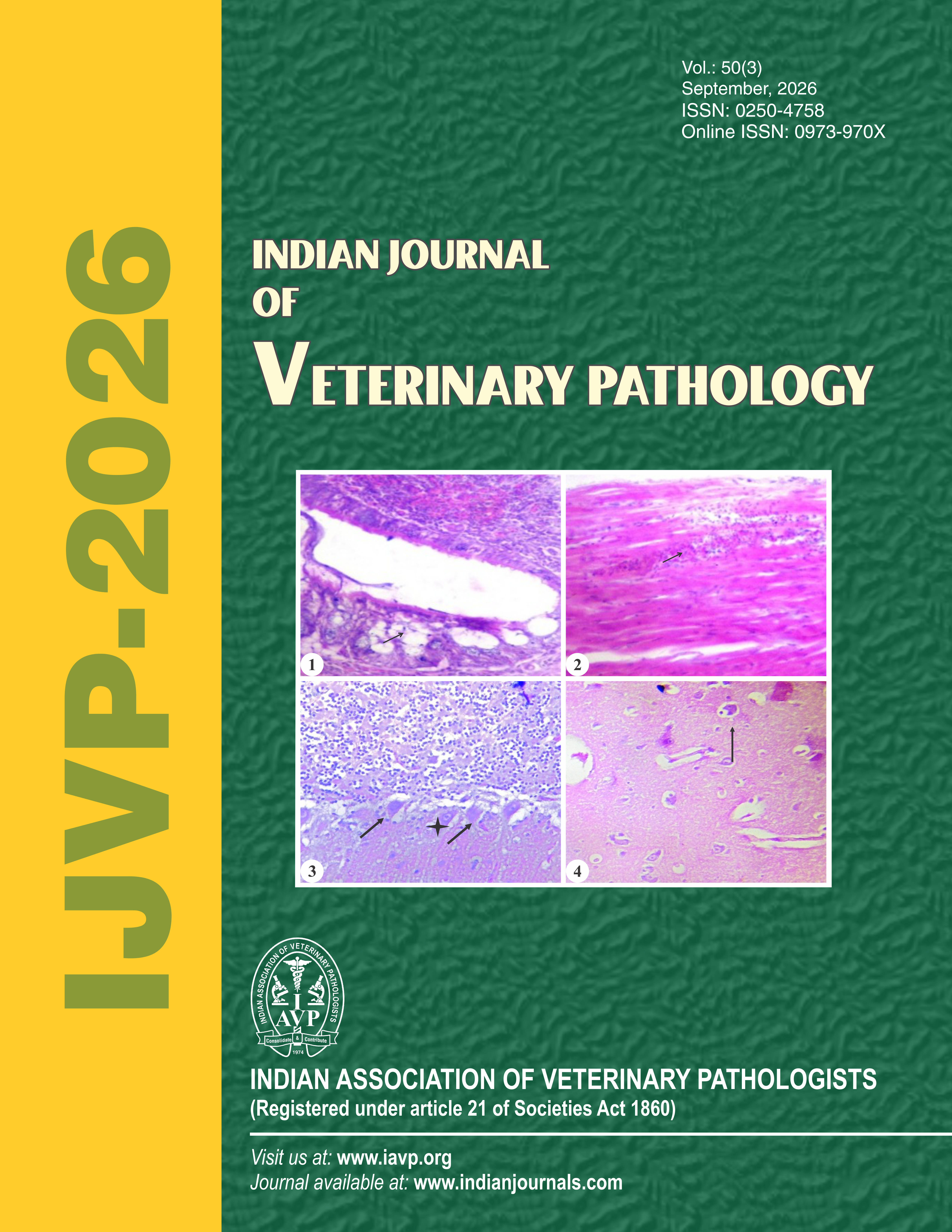 					View Vol. 50 No. 3 (2026): Indian Journal of Veterinary Pathology
				